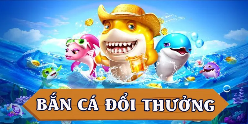 ban-ca-doi-thuong-avt