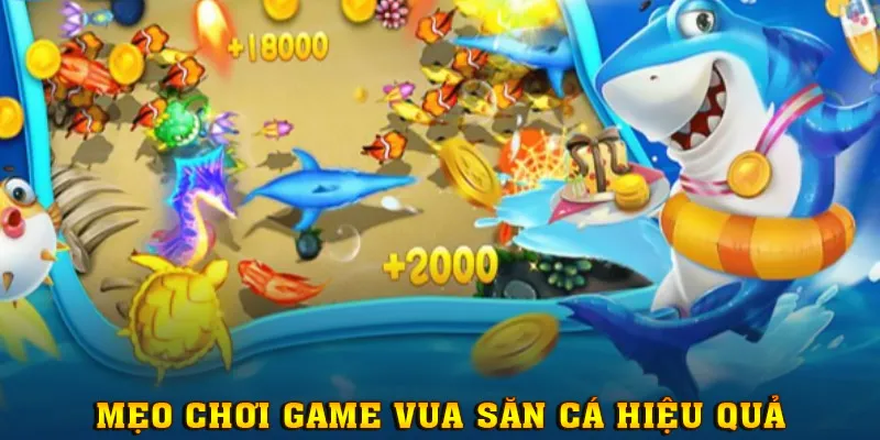 Áp dụng những mẹo chơi được cao thủ chia sẻ để săn thưởng hiệu quả hơn